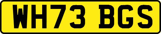 WH73BGS