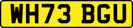 WH73BGU