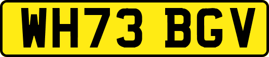 WH73BGV