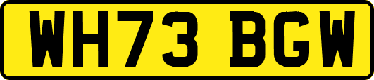WH73BGW