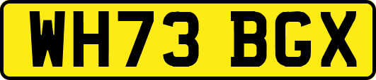 WH73BGX