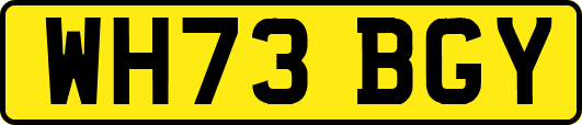 WH73BGY