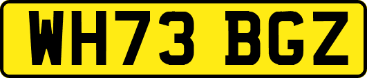 WH73BGZ