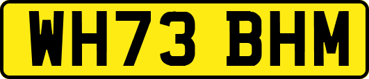 WH73BHM