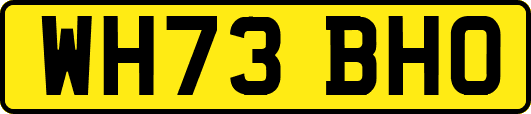 WH73BHO