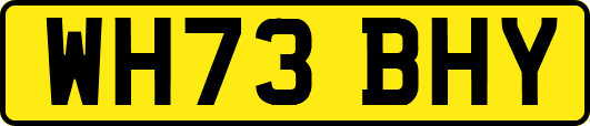 WH73BHY