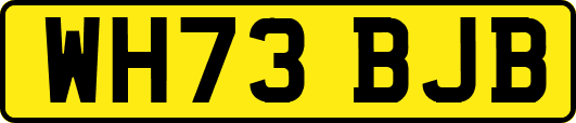 WH73BJB
