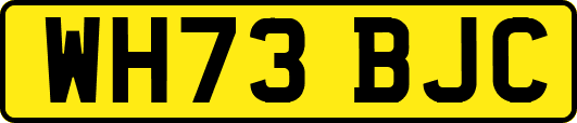 WH73BJC
