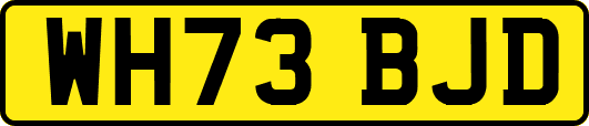 WH73BJD