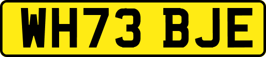 WH73BJE