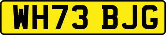 WH73BJG