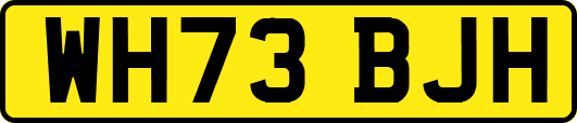 WH73BJH