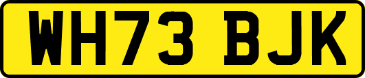 WH73BJK