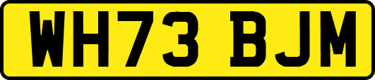 WH73BJM