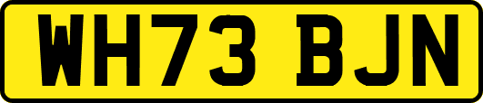 WH73BJN