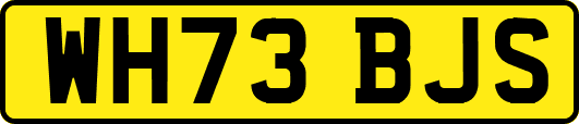 WH73BJS