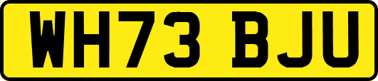 WH73BJU