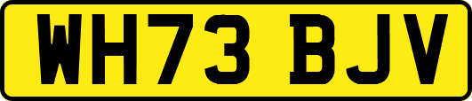 WH73BJV