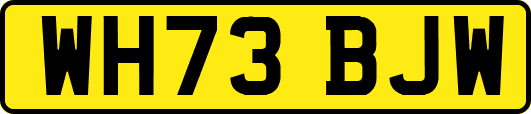 WH73BJW