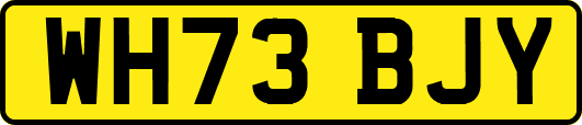 WH73BJY