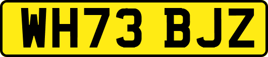 WH73BJZ