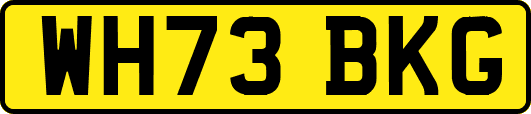 WH73BKG