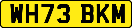 WH73BKM