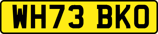 WH73BKO
