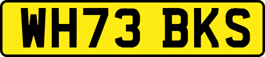 WH73BKS