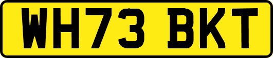 WH73BKT