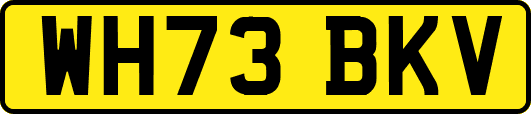 WH73BKV
