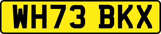 WH73BKX