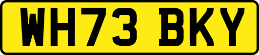 WH73BKY