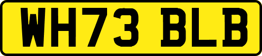 WH73BLB
