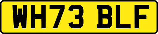WH73BLF