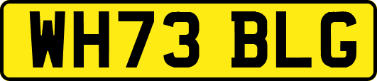 WH73BLG