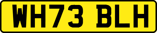 WH73BLH