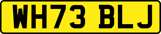 WH73BLJ