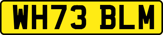 WH73BLM