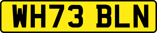 WH73BLN