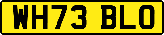 WH73BLO