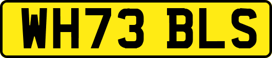 WH73BLS