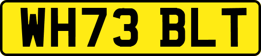 WH73BLT