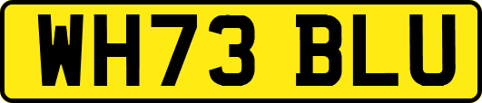 WH73BLU