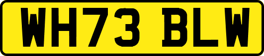 WH73BLW