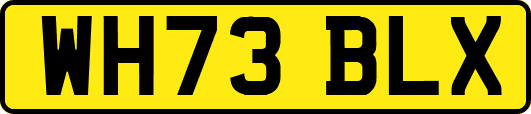 WH73BLX