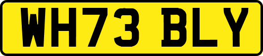 WH73BLY