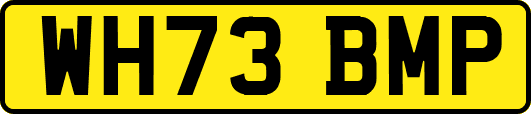 WH73BMP