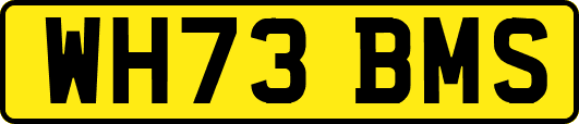 WH73BMS