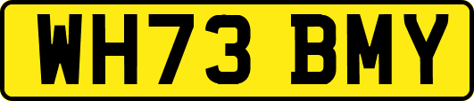 WH73BMY